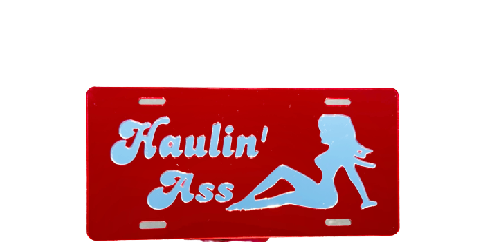 SPECIAL LICENSE PLATE COVERS