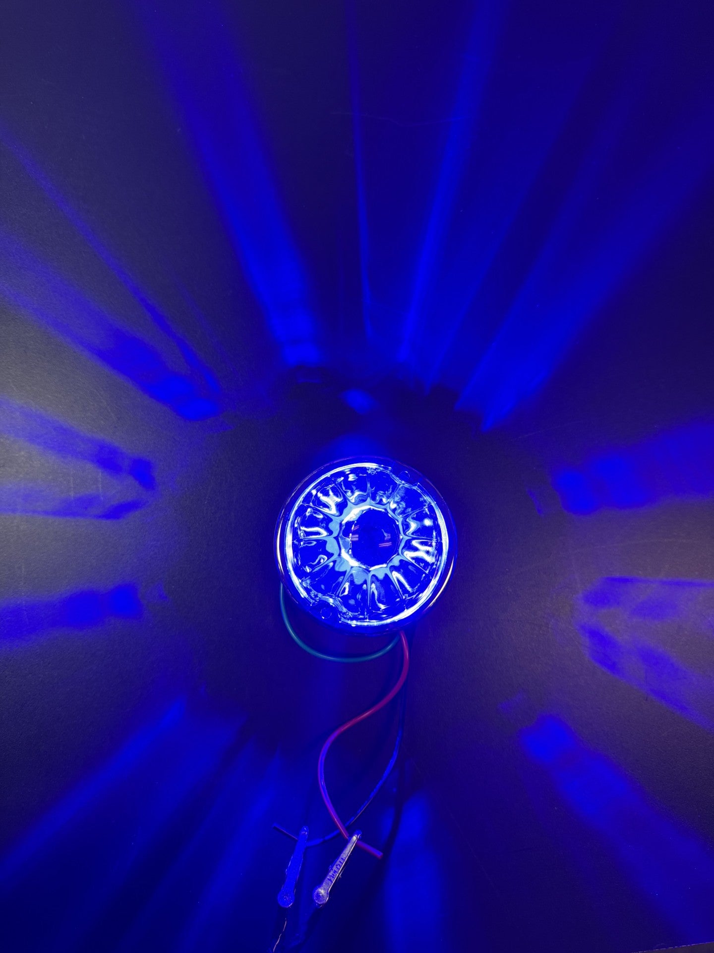 3157 LED Bulbs