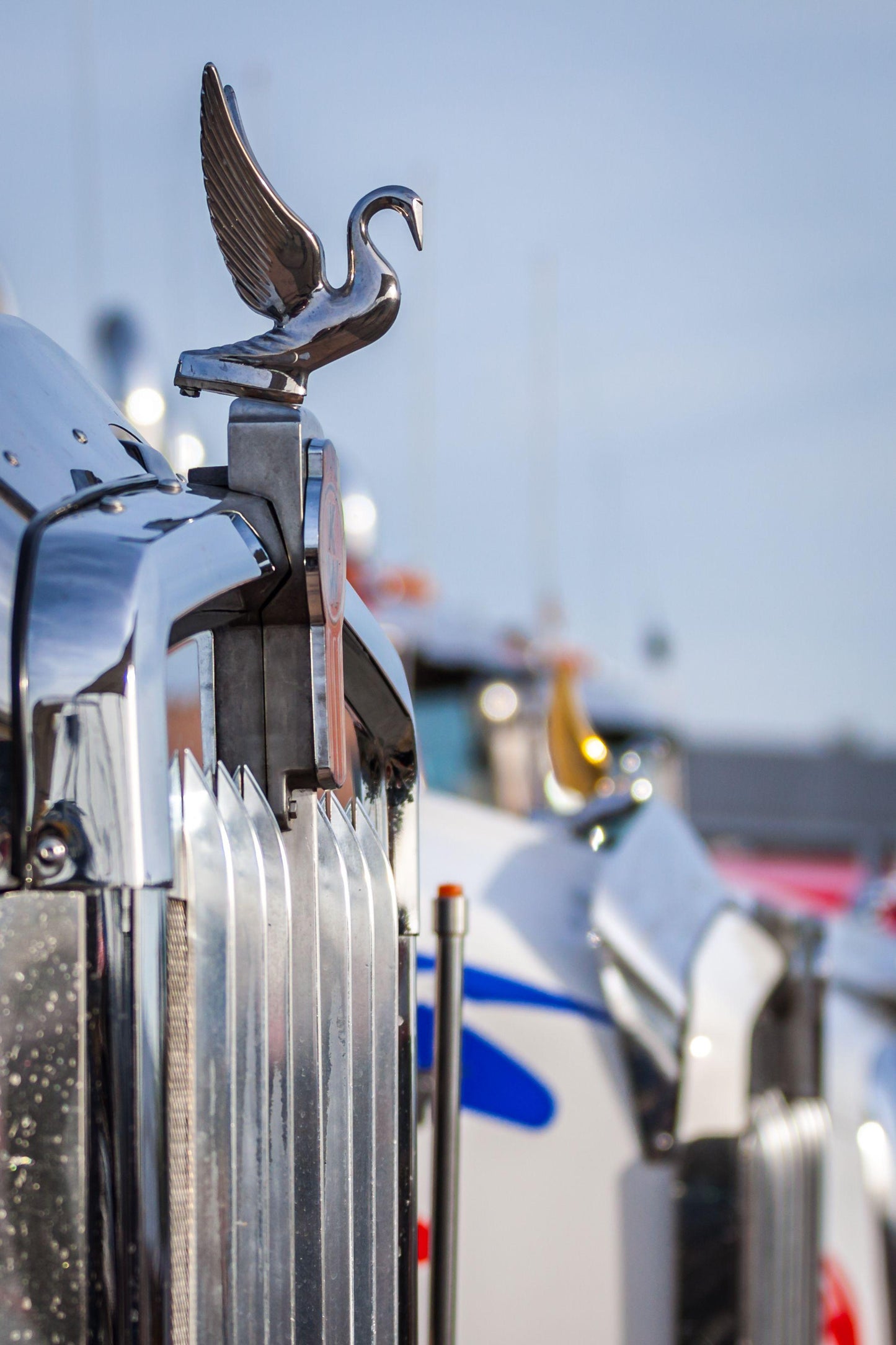 SWAN HOOD ORNAMENTS