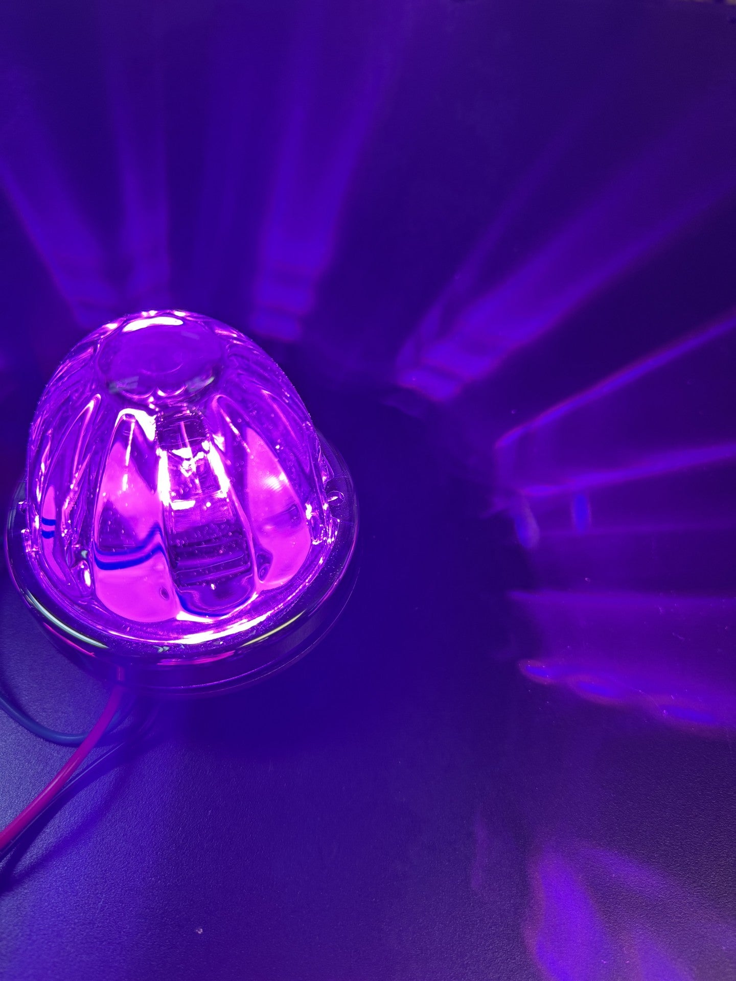 3157 LED Bulbs