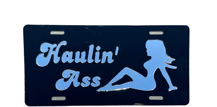 SPECIAL LICENSE PLATE COVERS