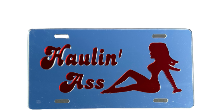 SPECIAL LICENSE PLATE COVERS